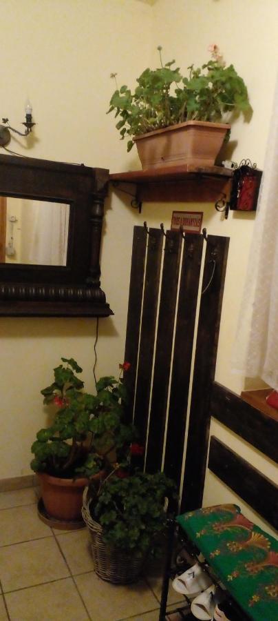Dutch Farm In Felsolajos Apartment Ngoại thất bức ảnh
